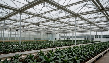 Туркменистан бросил вызов казахстанским предпринимателям