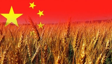 Китай готов профинансировать проекты казахстанцев