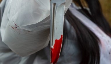 Подросток с ножом напал на школу в России