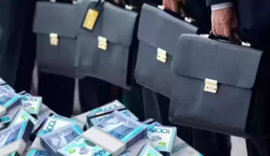 Названы ведомства, которые до сих пор контролируют "агашки"