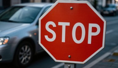 Эксперты рассудили спор Казахстана и Кыргызстана о ввозе автомобилей