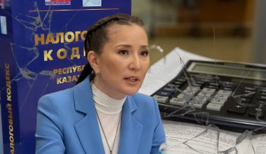 «Мы не подопытные кролики»: бизнес Казахстана выступил против налогового «эксперимента»