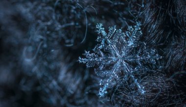 Какие регионы Казахстана накроет непогода