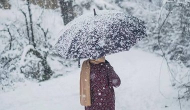 Туман и гололед: какая погода ожидается 2 января в Казахстане