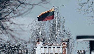 В Литве ввели обязательное знание языка для иностранцев