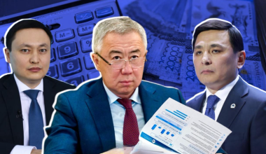 Гол, как сокол: кто из чиновников отважился на публикацию декларации о доходах