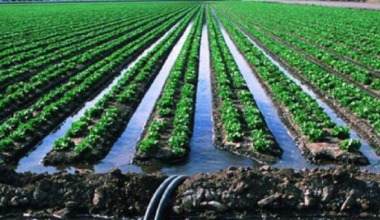 Поставщиков поливной воды оштрафовали почти на 18 млн тенге в Казахстане