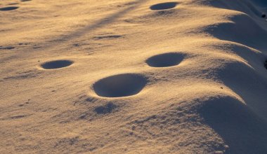 Жёлтый снег в Усть-Каменогорске: экологи исследуют проблему