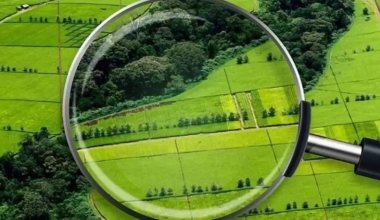 В Казахстане задумались над созданием нового Земельного кодекса