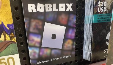 Следом за Россией: казахстанские депутаты требуют проверить Roblox