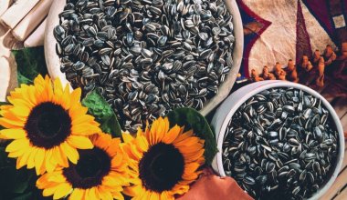 Казахстанские семечки попали под запрет в России