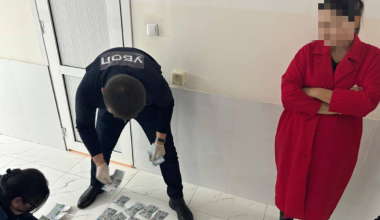 Выдавала себя за активистку: в Казахстане задержали блогера