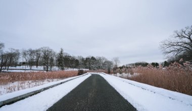 Выехать не получится: какие трассы в Казахстане закрыли из-за погоды