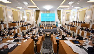 Нельзя быть бизнесменом и состоять в партиях: требования к вице-президенту