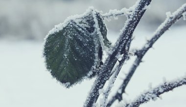 Туман, гололёд и метель: где ухудшится погода 27 января в Казахстане