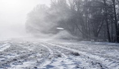 Какая погода ждёт Казахстан 1 февраля