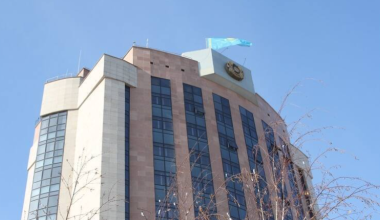 Ускоренные онлайн-курсы по подготовке водителей: в МВД сделали заявление