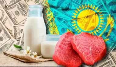 Казахстан полностью обеспечен говядиной, бараниной, кониной и яйцом – Минсельхоз