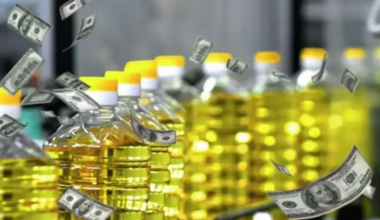 Какие страны больше всех покупают казахстанское растительное масло