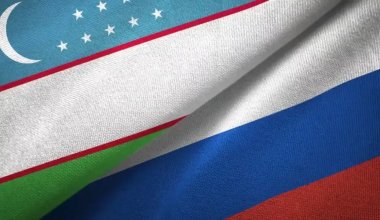 "Нужно поставить на место лающих щенков": Узбекистан жестко ответил российской пропаганде