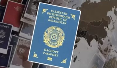 Причины утраты гражданства хотят закрепить в Конституции РК