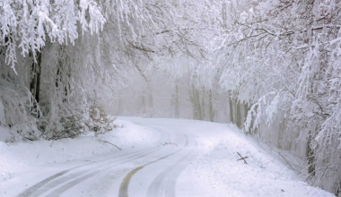 Непогода закрыла трассы в четырёх областях Казахстана
