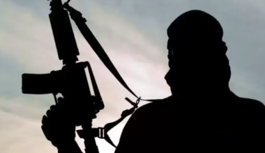 Жителя Семея приговорили к тюрьме за пропаганду терроризма в TikTok