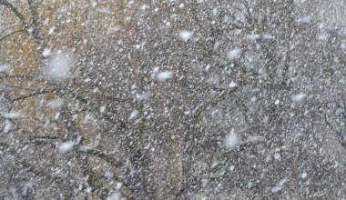 Синоптики предупредили о резком ухудшении погоды в Казахстане