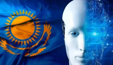 Пусть платят за все: президент Казахстана недоволен бардаком в казахстанской цифровизации