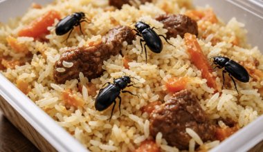 В детской больнице Караганды нашли насекомых в еде