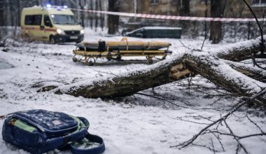 Гибель ребенка из-за упавшего дерева: очевидцы рассказали, что произошло в Шымкенте