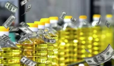 До 2 тыс. тенге за литр может подорожать подсолнечное масло в Казахстане