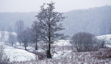 Погода на 15 февраля: где будет холодно, а где снег