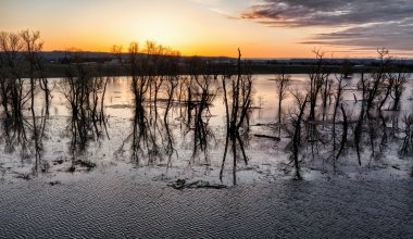 Риск паводков: военнослужащих направили в Жамбылскую область