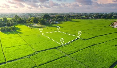 Казахстанцам обещают «бесплатные 25 соток»: способ получения земли объяснил акимат