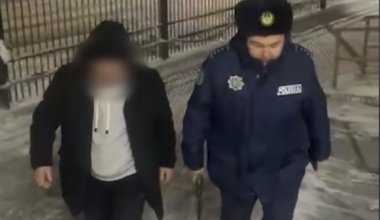 Пьяный сотрудник отлова стрелял по собакам в Семее