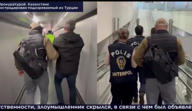 Подозреваемого в крупном мошенничестве казахстанца экстрадировали из Турции