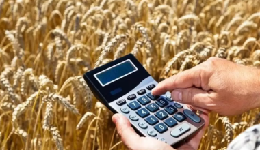 На весенне-полевые и уборочные работы выделят 700 млрд в Казахстане