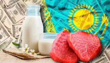 Когда фермерам разрешат экспортировать говядину, рассказали в Минсельхозе