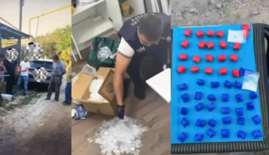 Канал поставки наркотиков ликвидировали в Алматы: суд вынес приговор