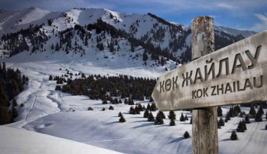 «Кок-Жайляу не тронут»? Почему экоактивисты не верят обещаниям чиновников и продолжают бить тревогу