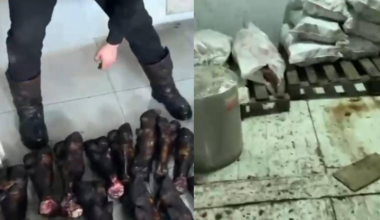 Второй за сутки: еще один подпольный мясной цех "накрыли" в Астане