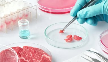 Казахстанцы не защищены от заражённого мяса? Ученый раскрыл неудобную правду