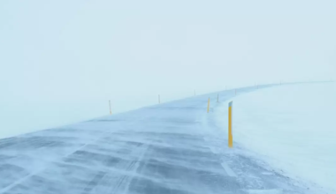 Из-за метели закрыли дороги в нескольких областях Казахстана