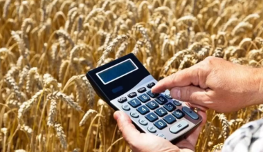 Хищение субсидий на 20 млн тенге в Туркестанской области: суд вынес приговор