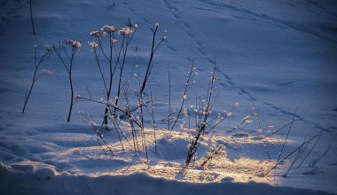 Снег и дождь: какой будет погода в Казахстане 15 марта