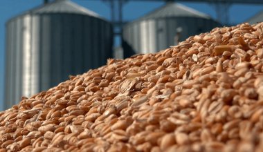 Россия в 26 раз увеличила поставки стратегического товара в Казахстан