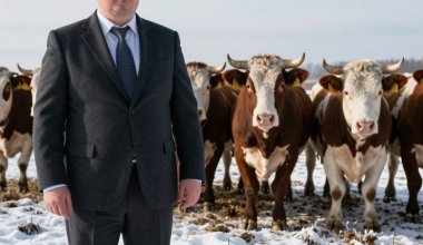 Руководство комитета ветконтроля занято зарубежными турами и дрязгами — эксперт