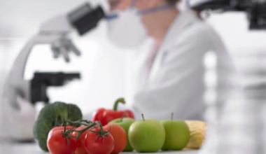 Больше 140 нарушений выявили при ввозе подкарантинной продукции в Казахстан