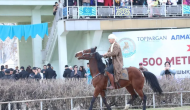 В Алматы установлен рекорд Гиннесса на ипподроме